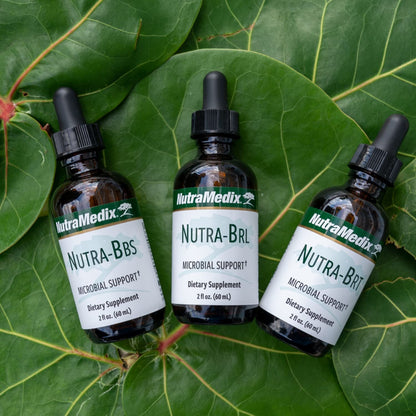 Nutramedix Nutra BRT - Liquid Herbal Supplement for Gut Health & Immune Support - Cumanda Bark & Houttuynia Leaf for Digestive Health - Immune System Booster Supplement (60mL) NutraMedixBuy Supplements Australia
