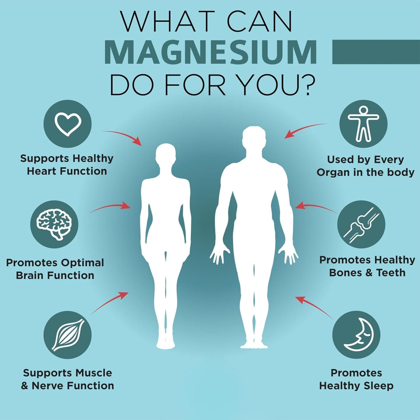 OmniBiotics Magnesium Glycinate Supplement – with 100% Pure Albion TRAACS Bisglycinate Chelate for Sleep, Muscle