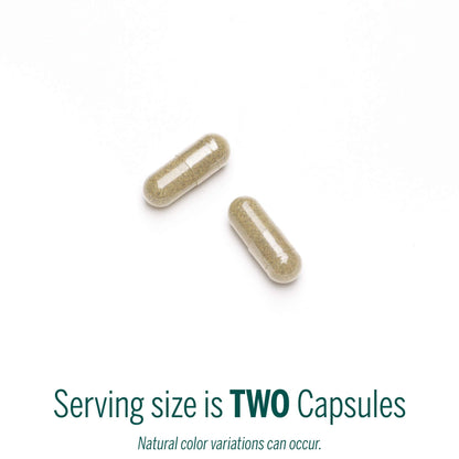Genestra Brands Black Walnut Capsules | Herbal Formula to Support Digestive Health | 90 Capsules Genestra BrandsBuy Supplements Australia
