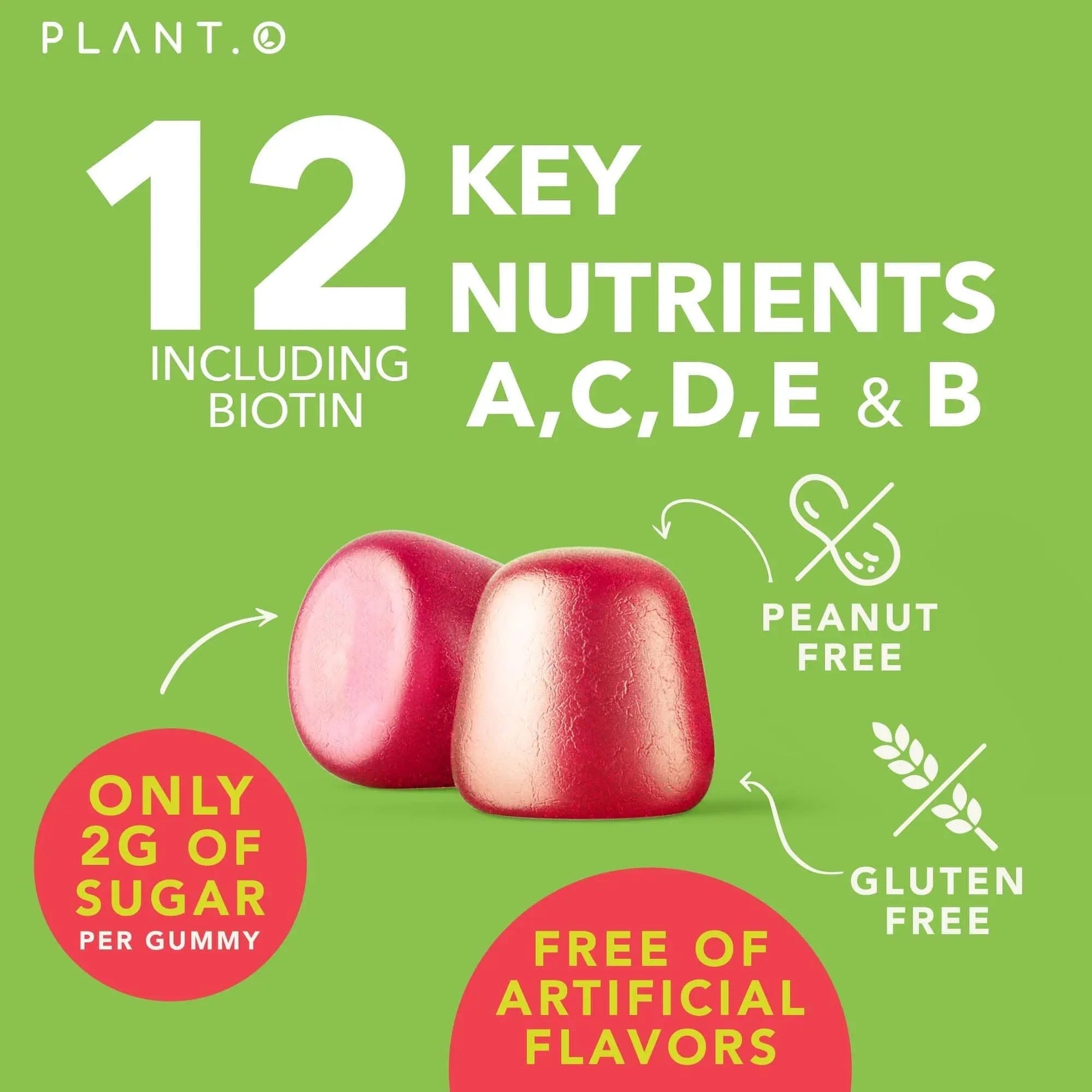 Complete Multivitamin Gummies for Adults – All-in-One Blend of Vitamin A B C D E Zinc and Biotin - Adult Vitamin Gummy for Energy and Immunity PLANT.O NUTRITION