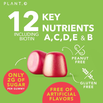 Complete Multivitamin Gummies for Adults – All-in-One Blend of Vitamin A B C D E Zinc and Biotin - Adult Vitamin Gummy for Energy and Immunity PLANT.O NUTRITION