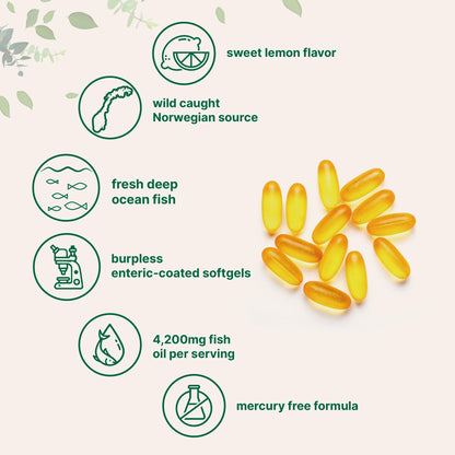 Triple Strength Omega 3 Fish Oil Supplements 4200mg Per Serving, 240 Softgels Micro IngredientsBuy Supplements Australia
