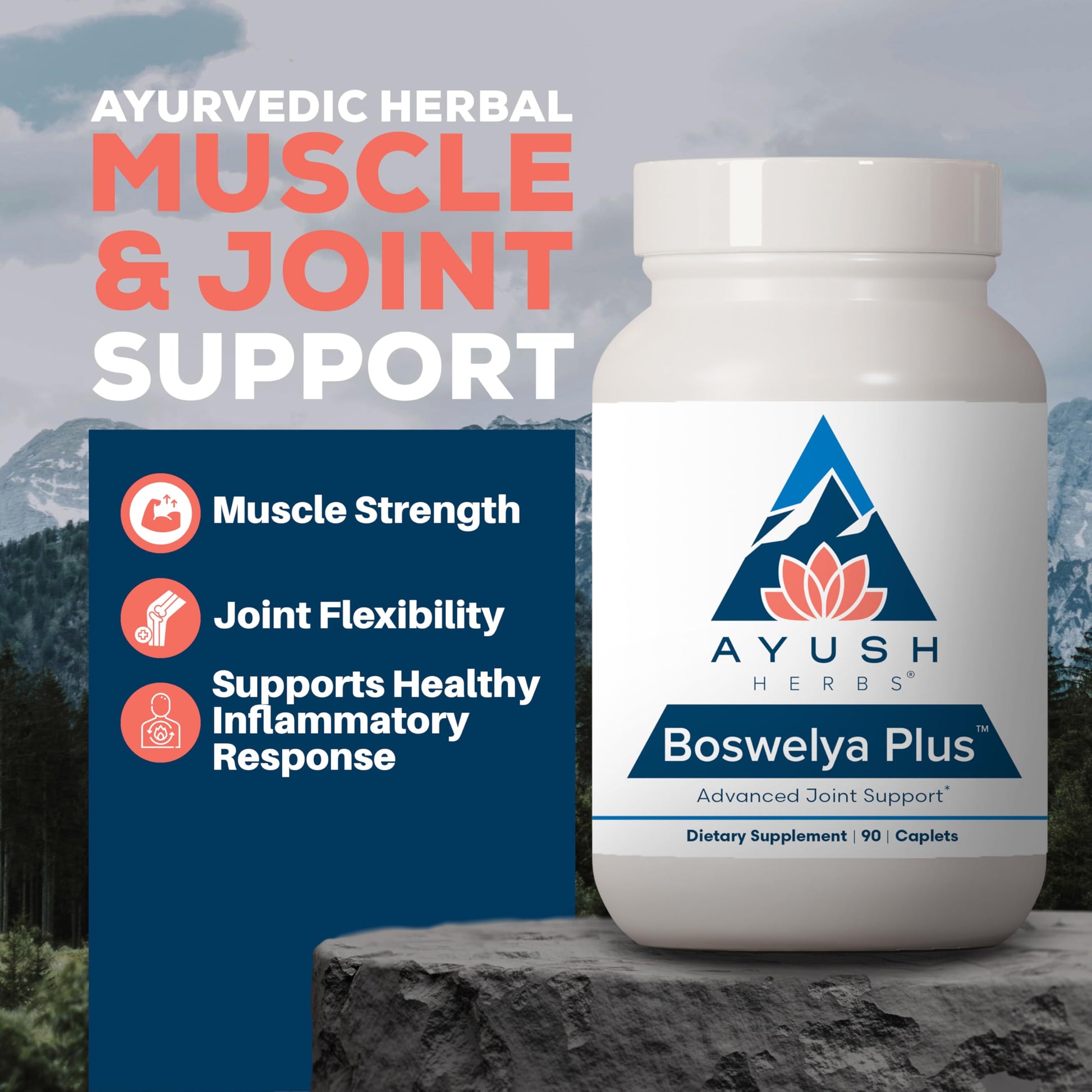 Ayush Herbs Boswelya Plus - Glucosamine Chondroitin Joint Support Supplement, Turmeric Muscle Support for Men & Women, Joint Care with Curcumin - 90 Vegetarian Capsules (1 Count) Ayush HerbsBuy Supplements Australia