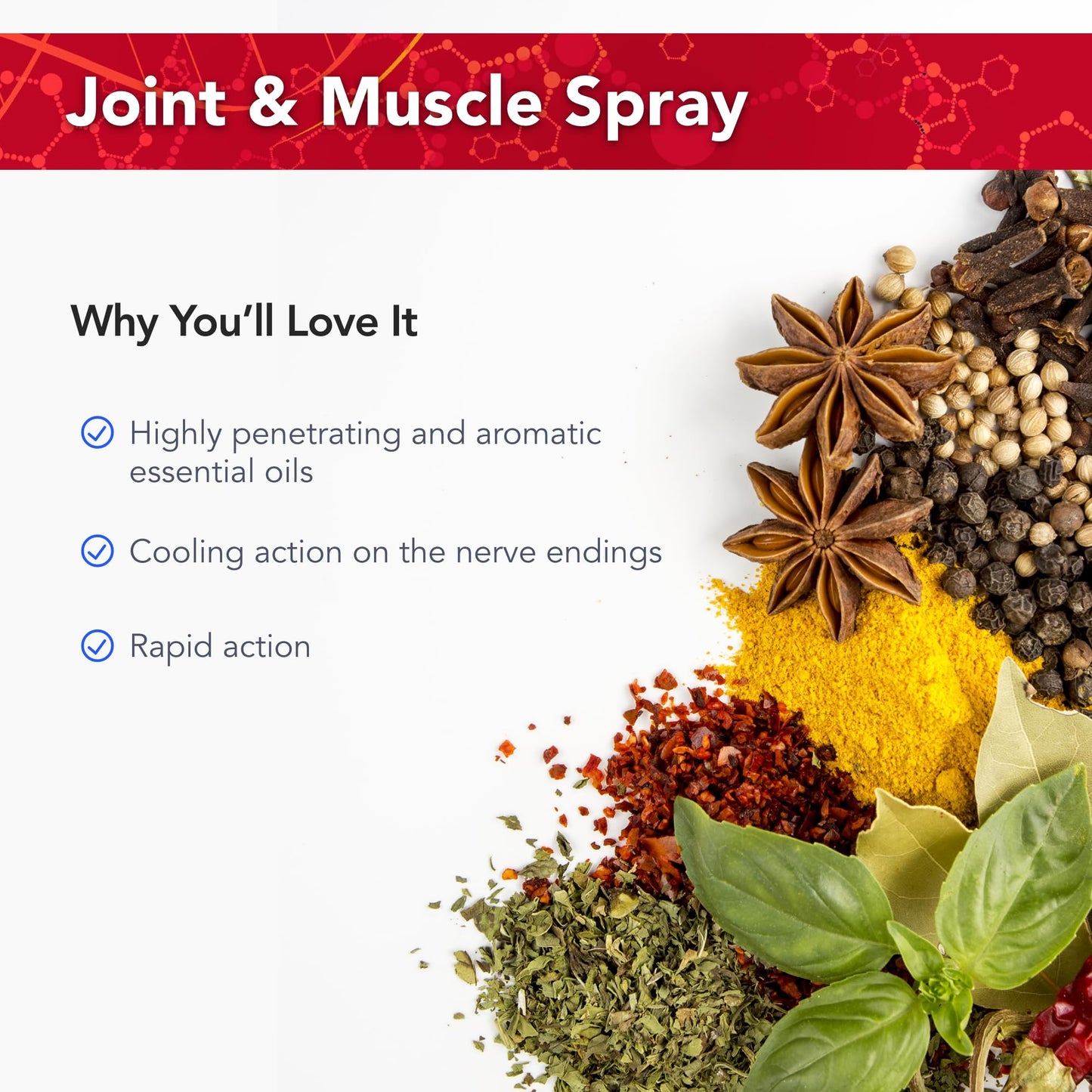Physician's Strength PainMist - 1 fl oz - Healthy Inflammation Support - Non-GMO Physician's StrengthBuy Supplements Australia
