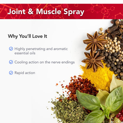 Physician's Strength PainMist - 1 fl oz - Healthy Inflammation Support - Non-GMO Physician's StrengthBuy Supplements Australia