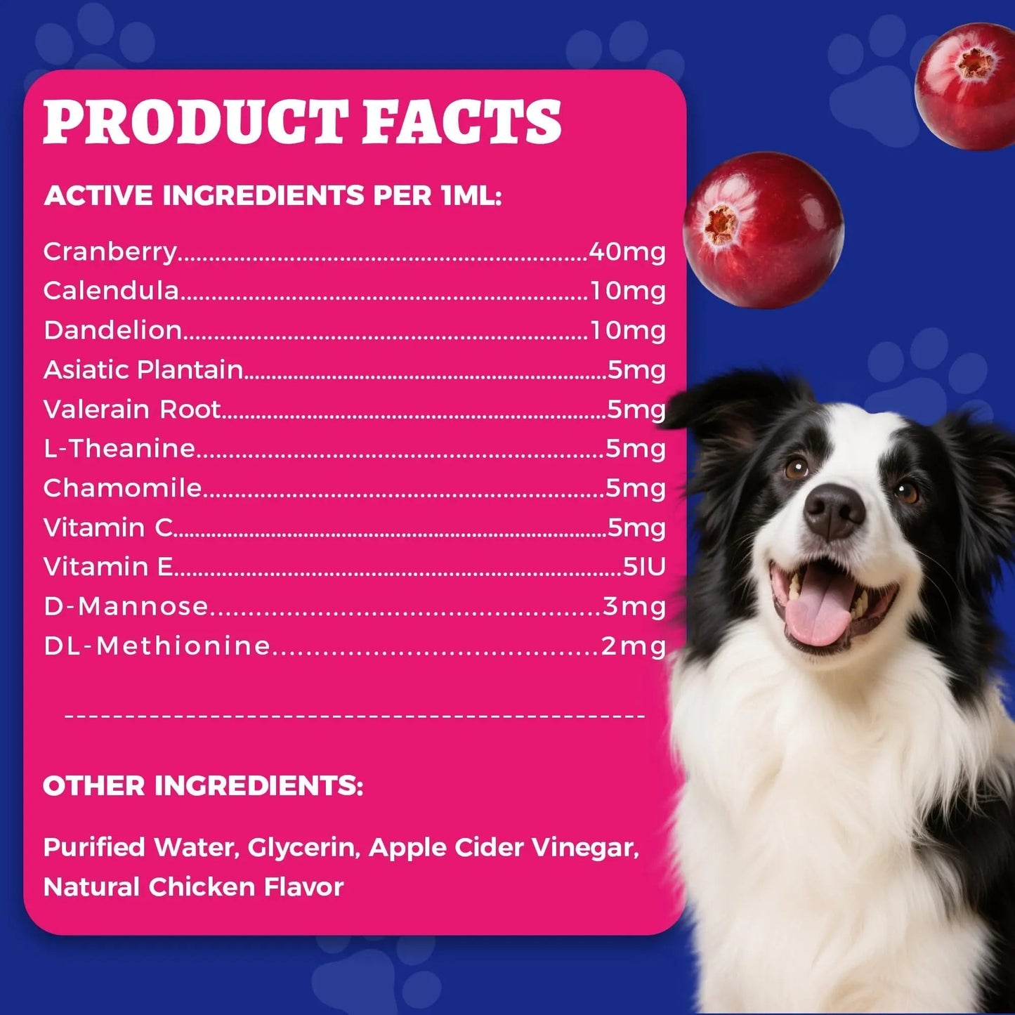 4oz Wellix Natural Cat & Dog UTI Treatment Drops,Cat & Dog Urinary Tract Infection Treatment - Cranberry & D-Mannose for Dogs & Cats - Kidney Health Supplement WellixBuy Supplements Australia