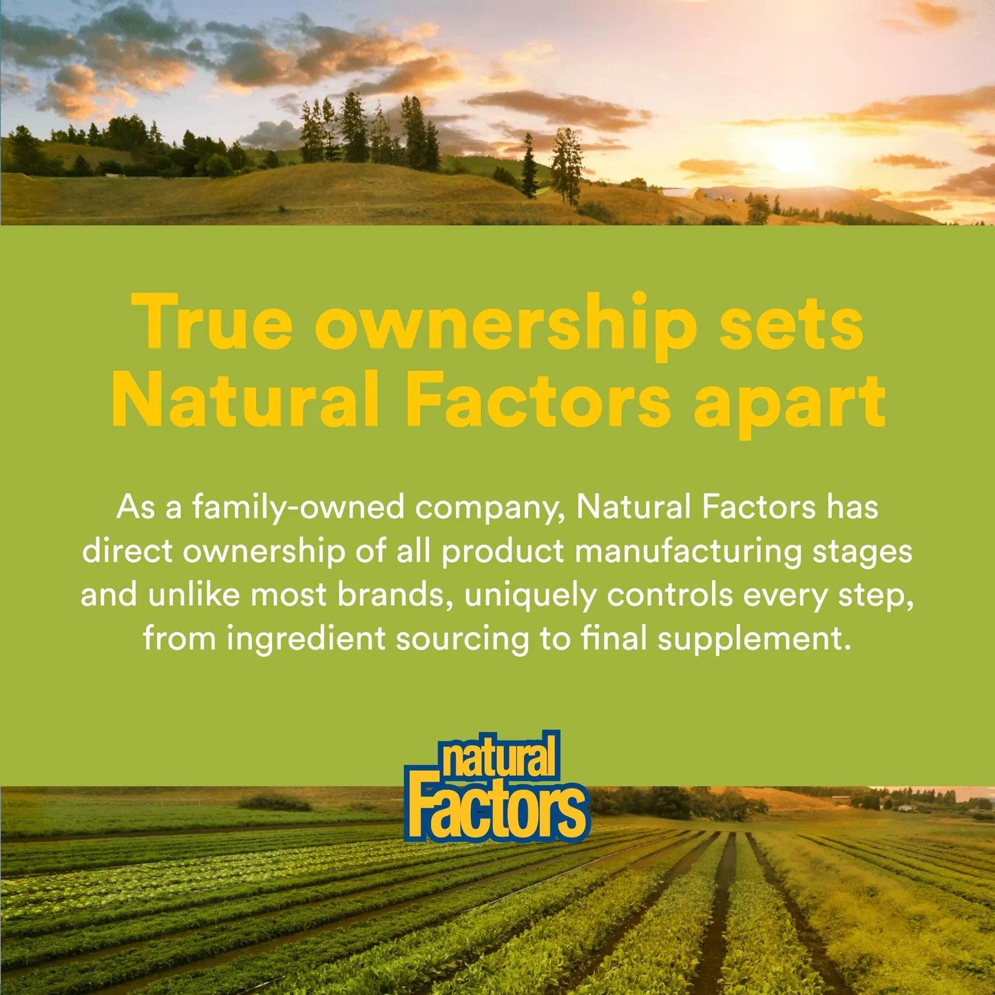 Natural Factors Whole Earth & Sea Men's 50+ Multivitamin & Mineral - Daily Nutritional Support Multivitamin Natural Factors
