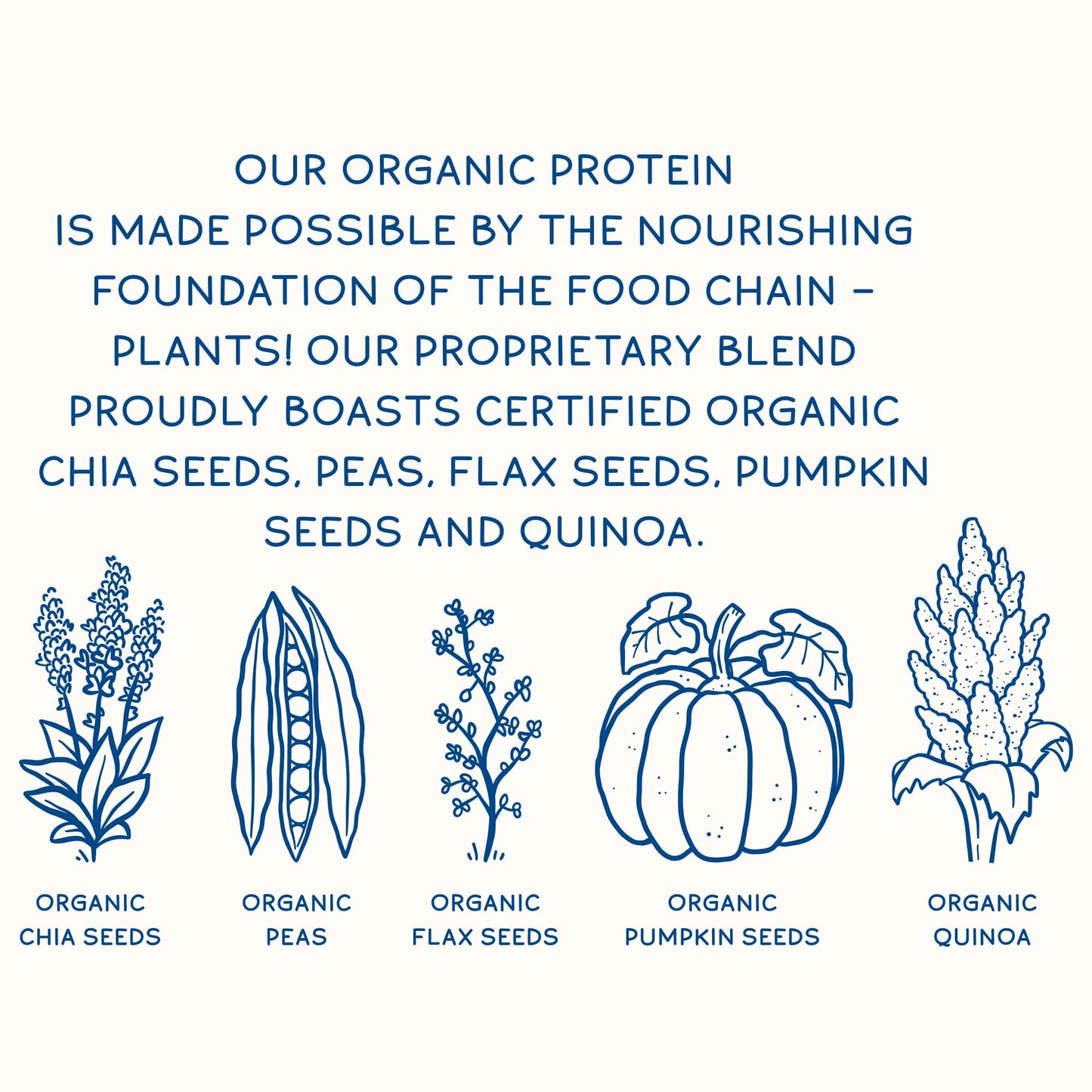 KOS Plant Based Protein Powder, Blueberry Muffin - Organic Pea Protein Superfood KOSBuy Supplements Australia