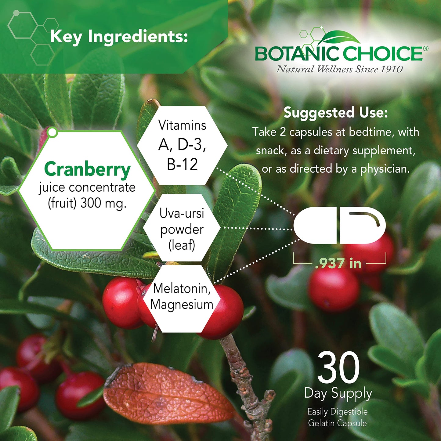 Botanic Choice Pro-Advanced Urinary Formula-Blend for Urinary Tract Health Support - Magnesium Cranberry Uva Ursi Damiana - 60 Capsules Botanic ChoiceBuy Supplements Australia