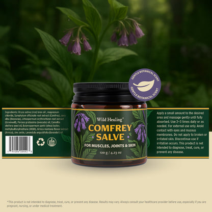Wild Healing Comfrey Salve – Concentrated Herbal Balm with Arnica, Magnesium & MSM – Soothing Botanical Cream for Joints, Muscles & Dry Skin – 4.23 oz Wild HealingBuy Supplements Australia