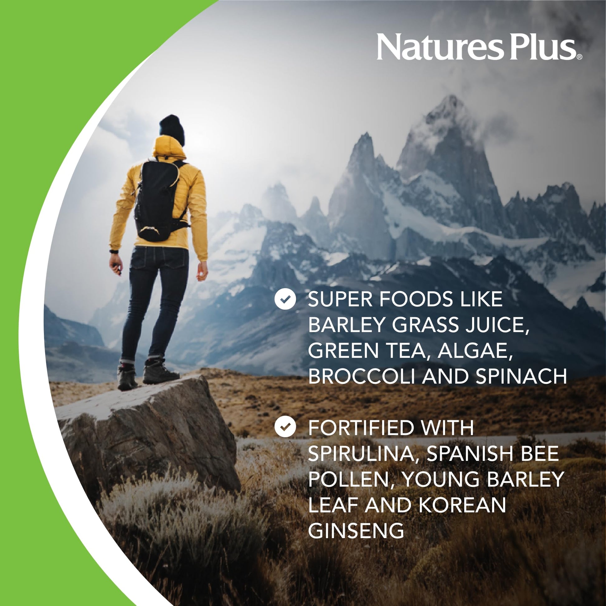 NaturesPlus FRUITEIN Revitalizing Green Foods Shake - 1.3 lbs - Plant-Based Protein (13g/Serving) - Supports Energy & Immune System - Vegetarian, Gluten Free & Non-GMO - 16 Servings NaturesPlusBuy Supplements Australia