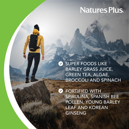 NaturesPlus FRUITEIN Revitalizing Green Foods Shake - 1.3 lbs - Plant-Based Protein (13g/Serving) - Supports Energy & Immune System - Vegetarian, Gluten Free & Non-GMO - 16 Servings NaturesPlusBuy Supplements Australia