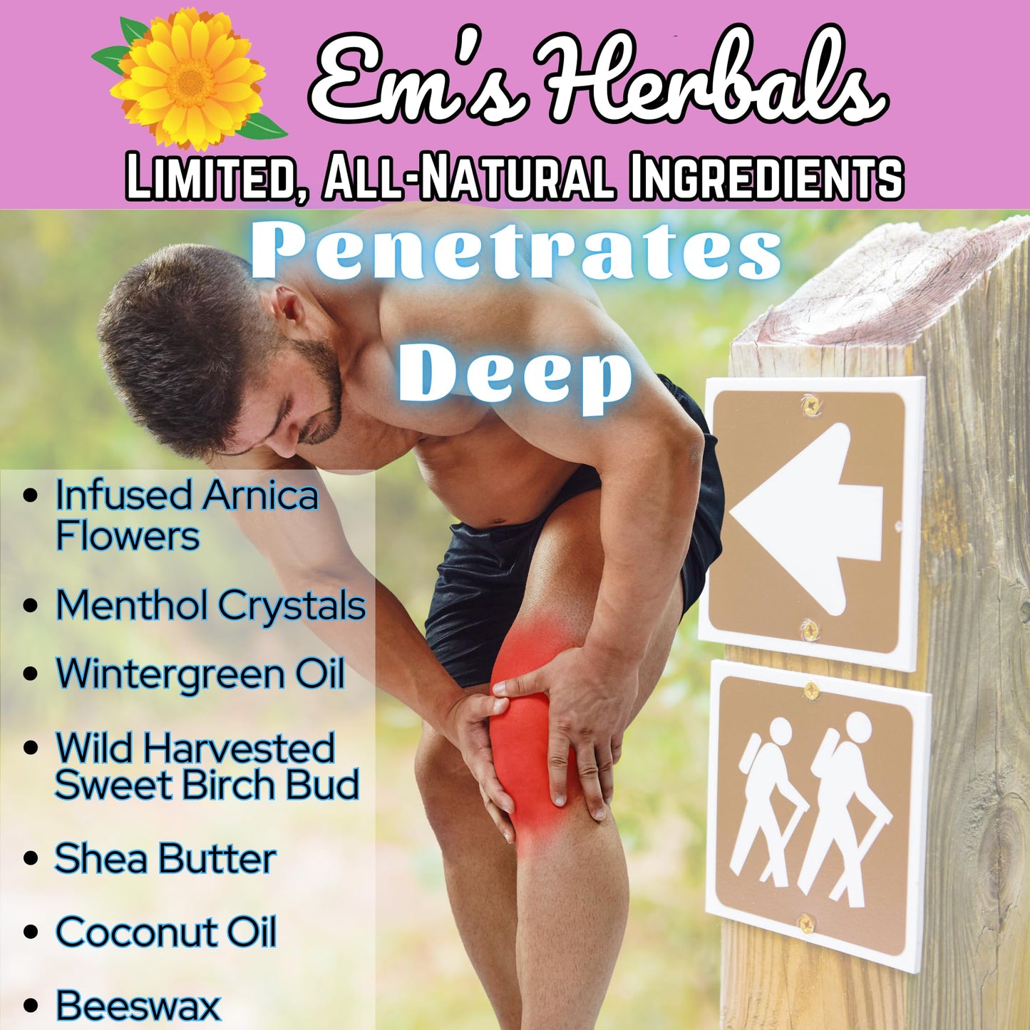 Em's Herbals, Muscle & Joint Care Arnica Salve - Amplified Arnica Salve Made with Menthol Crystals, and Effective Essential Oils to Penetrate Deep into Muscles, Joints, and Back Discomfort (2 oz) Em's HerbalsBuy Supplements Australia
