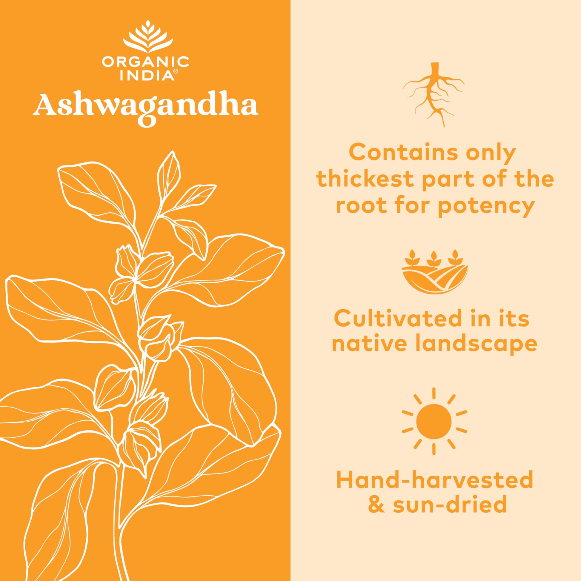 Organic India Ashwagandha Herbal Supplement - Stress Response Support, Vegan, Gluten Organic IndiaBuy Supplements Australia