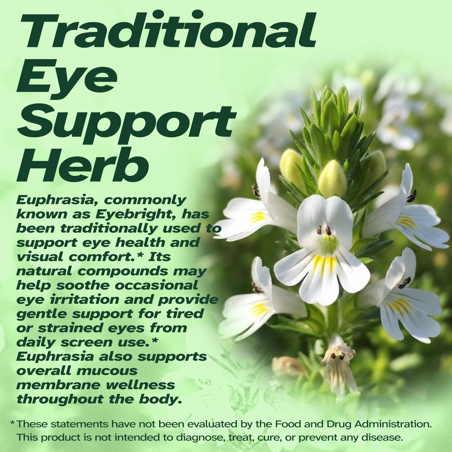 Vitalumina Eyebright Herbal Liquid with Organic Euphrasia, Lutein, Bilberry, Blueberry & Goji – Plant-Based Vegan Supplement for Adults – 4 fl oz VitaluminaBuy Supplements Australia