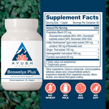 Ayush Herbs Boswelya Plus - Glucosamine Chondroitin Joint Support Supplement, Turmeric Muscle Support for Men & Women, Joint Care with Curcumin - 90 Vegetarian Capsules (1 Count) Ayush HerbsBuy Supplements Australia