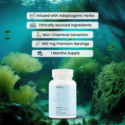 Mars Sea Moss Caps Surge Natural (60N) | Packed with 84 Essential Minerals | Powered with Black Seed Oil, Surgemax & Vitamin D3 | Overall Well-Being - Pack of 3 mars by GHCBuy Supplements Australia