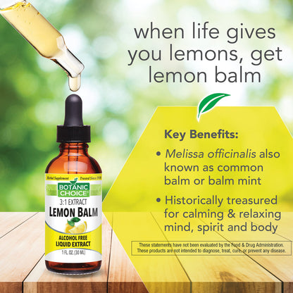 Botanic Choice Mega Fruits and Veggies Blend (60 Capsules) + Lemon Balm Tincture (1 fl oz) Bundle - Energy Balance & Superfood Supplement + Relaxation and Sleep Support Botanic ChoiceBuy Supplements Australia