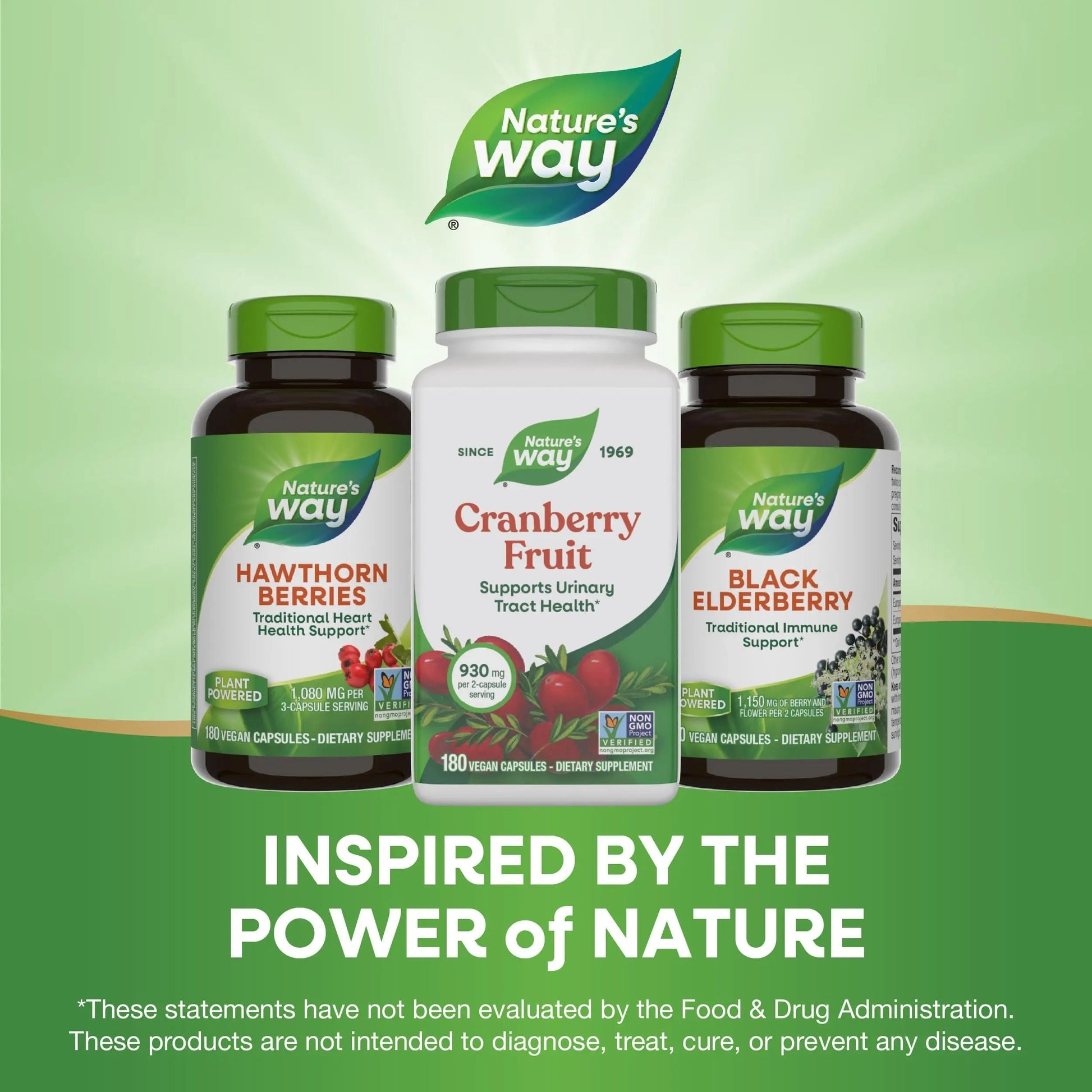 Nature's Way Cranberry Fruit, Cranberry Supplements, Supports Urinary Tract Health*, 930 mg per 2-Capsule Serving, 180 Capsules (Packaging May Vary) Nature's WayBuy Supplements Australia