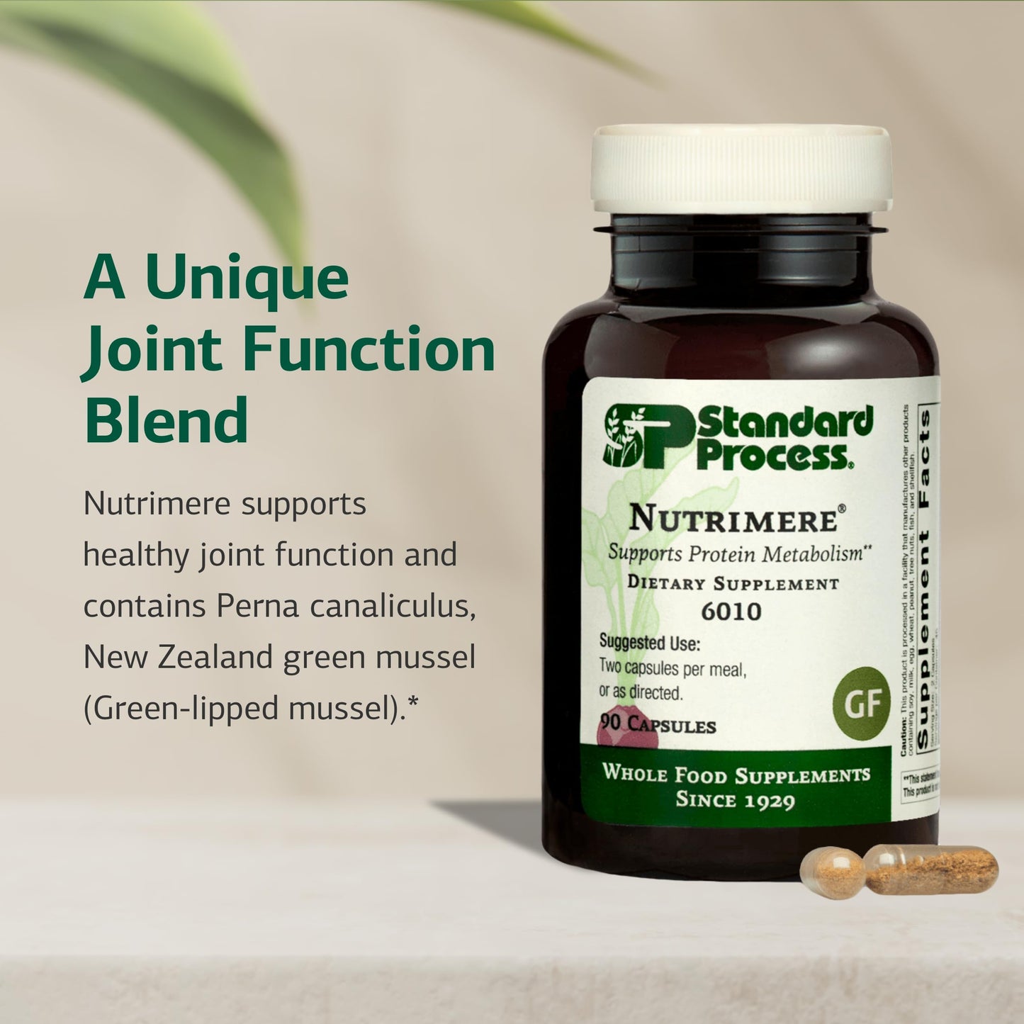 Standard Process Nutrimere - Supports Joint Health - Joint Supplement with Perna Canaliculus & New Zealand Green Mussel - Gluten-Free, Non-Soy & Non-Dairy - 90 Capsules Standard Process Inc.Buy Supplements Australia