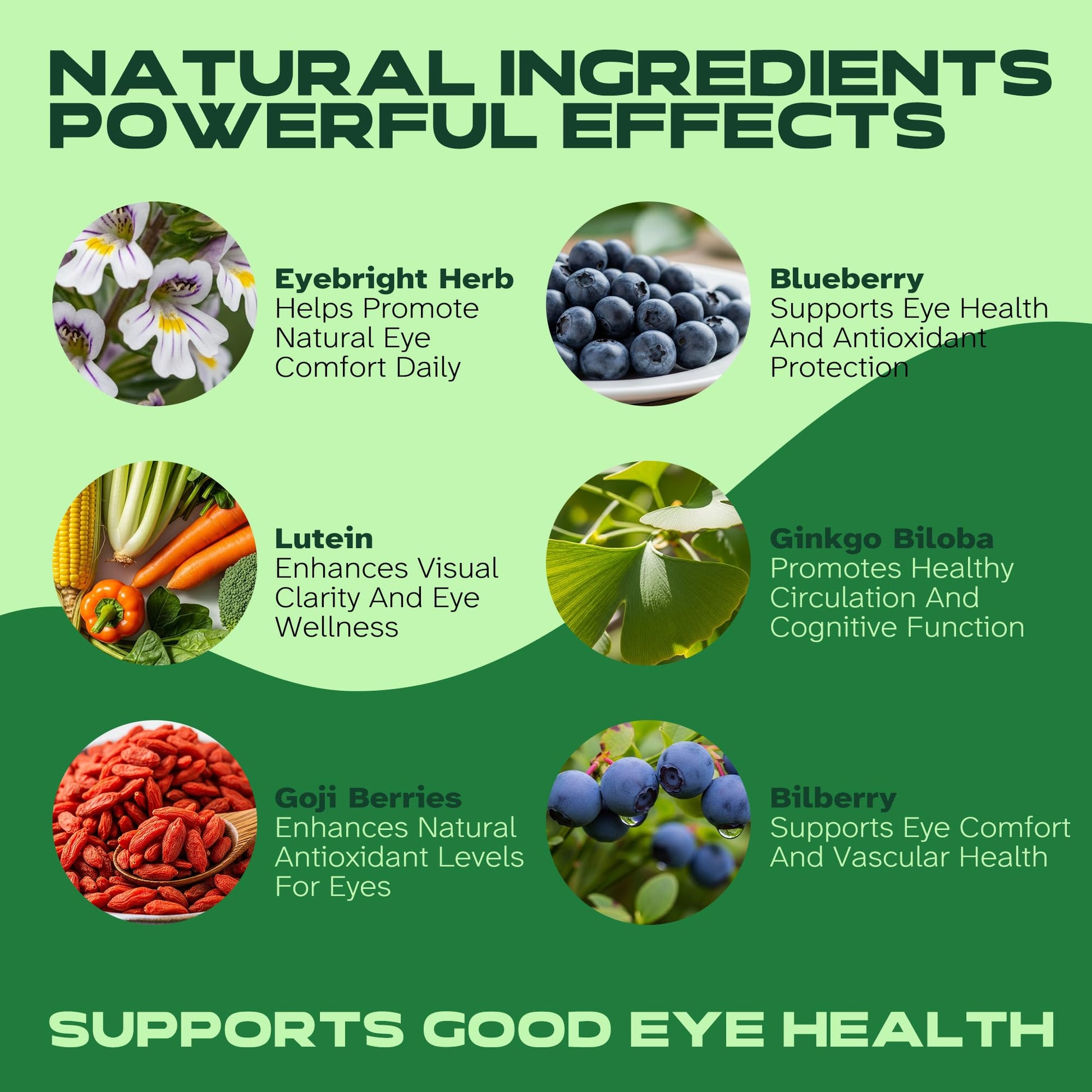 Vitalumina Eyebright Herbal Liquid with Organic Euphrasia, Lutein, Bilberry, Blueberry & Goji – Plant-Based Vegan Supplement for Adults – 4 fl oz VitaluminaBuy Supplements Australia