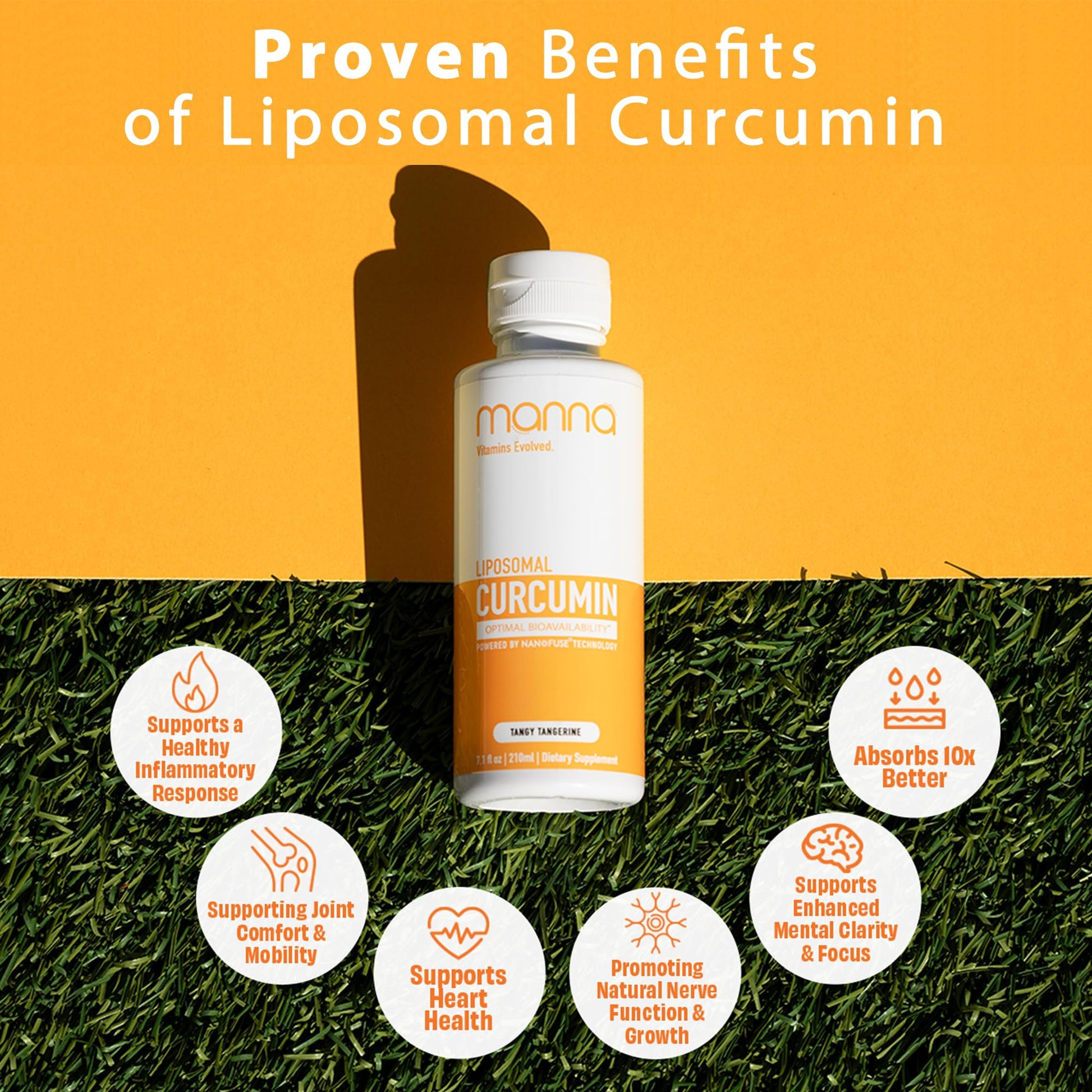 Manna Vitamins Evolved Liposomal Liquid Curcumin for Advanced Absorption Best Turmeric Supplement for Daily Joint & Immune Health Support - Vegan, Non-GMO, 95% Curcuminoids (1 Pack) Manna Vitamins EvolvedBuy Supplements Australia