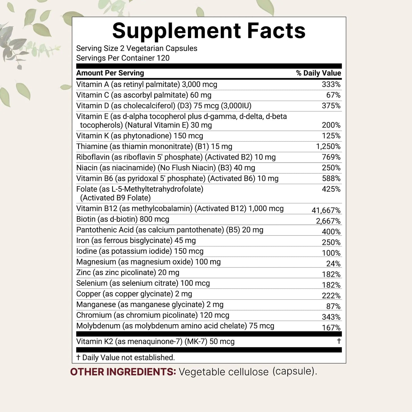 Micro Ingredients Methylated Bariatric Multivitamin with 45mg Iron, 240 Veggie Capsules | 23-in-1 Essential Vitamins with D3, K2, Zinc & More | Micro IngredientsBuy Supplements Australia