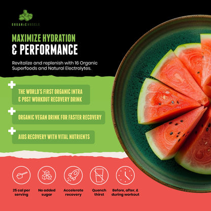 Organic Muscle Hydrator | Natural Electrolyte Powder for Peak Performance & Recovery - Watermelon Flavor, 20 Servings Organic MuscleBuy Supplements Australia