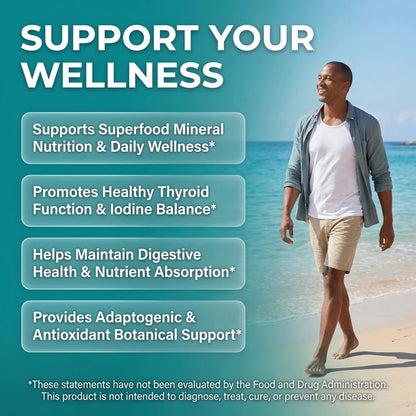 Clean Nutra Organic Sea Moss Capsules with Ashwagandha, Black Seed Oil, Burdock Root, Bladderwrack, Moringa, Chlorella, Spirulina, Turmeric, Elderberry, Amla – 90 Vegan Capsules – MiracleMin Clean NutraceuticalsBuy Supplements Australia