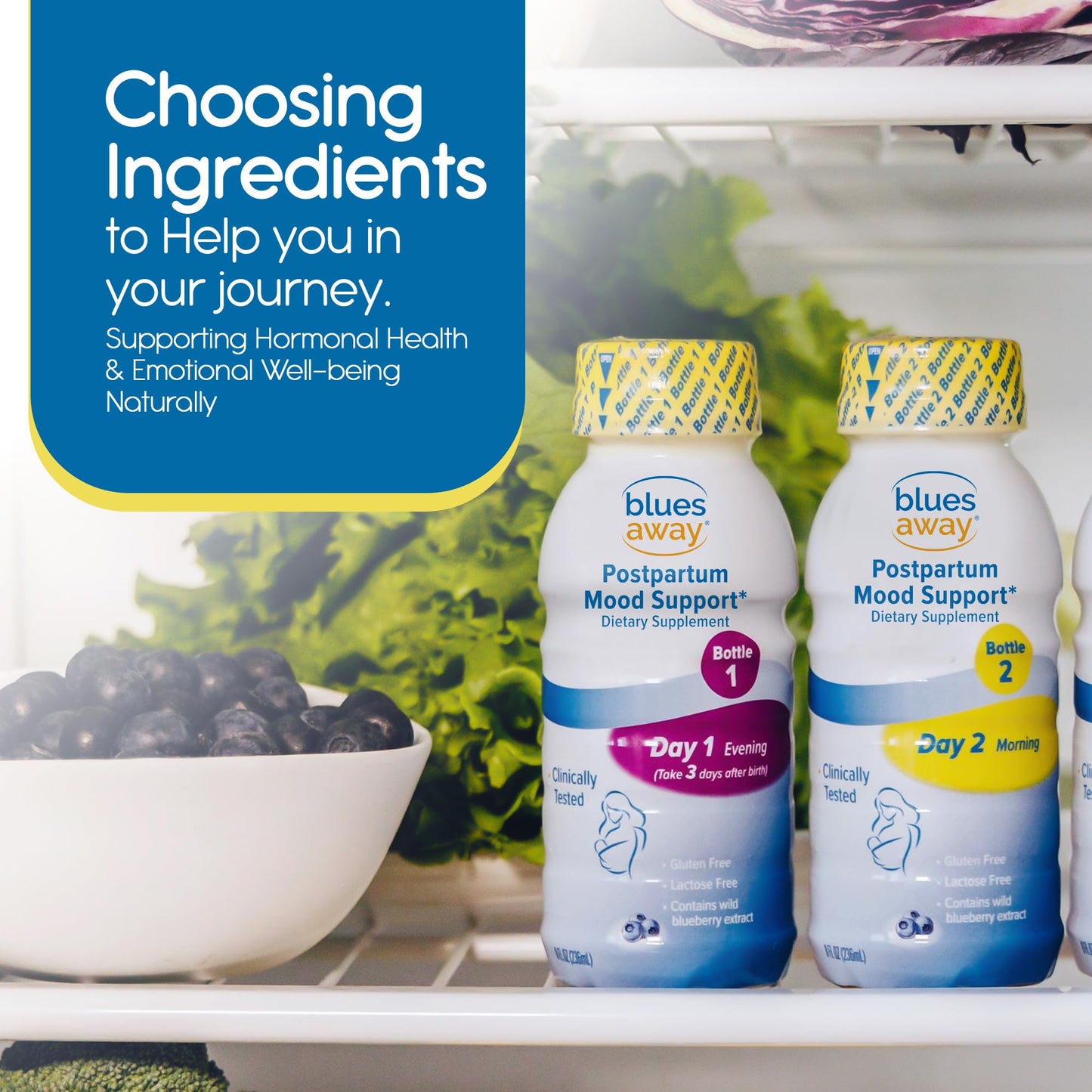 Blues Away Postpartum Mood Support Drink - Breastfeeding Friendly Postnatal Hormone Balance for Women - 3-Day Liquid Dietary Stress Support Shake [4 Bottles] Blues AwayBuy Supplements Australia