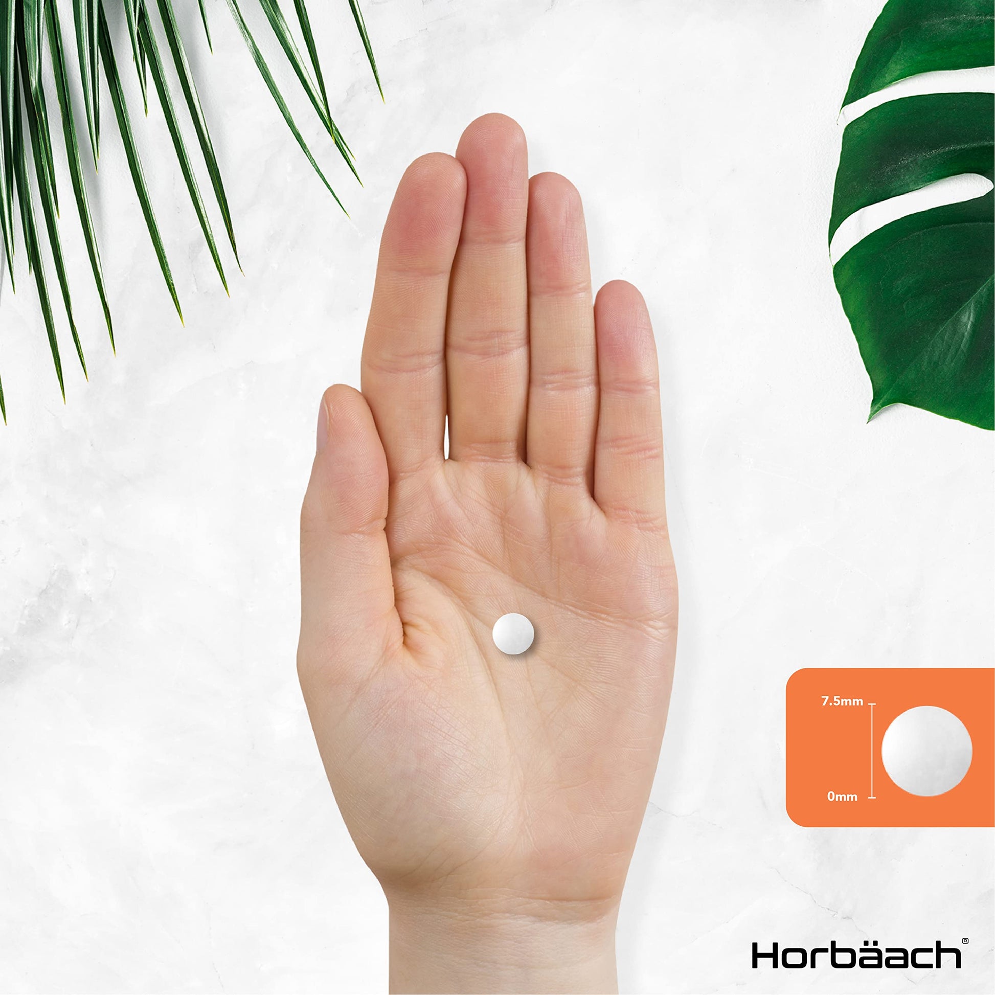 Vitamin B1 Thiamine High Strength 100mg | 120 Vegan Tablets | No Artificial HorbäachBuy Supplements Australia