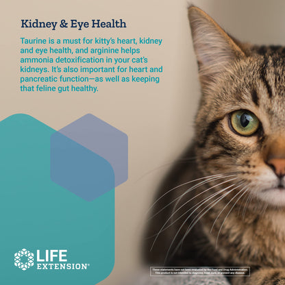 Life Extension Cat Mix – For Heart, Kidney & Pancreatic Function + Gut Health Life ExtensionBuy Supplements Australia
