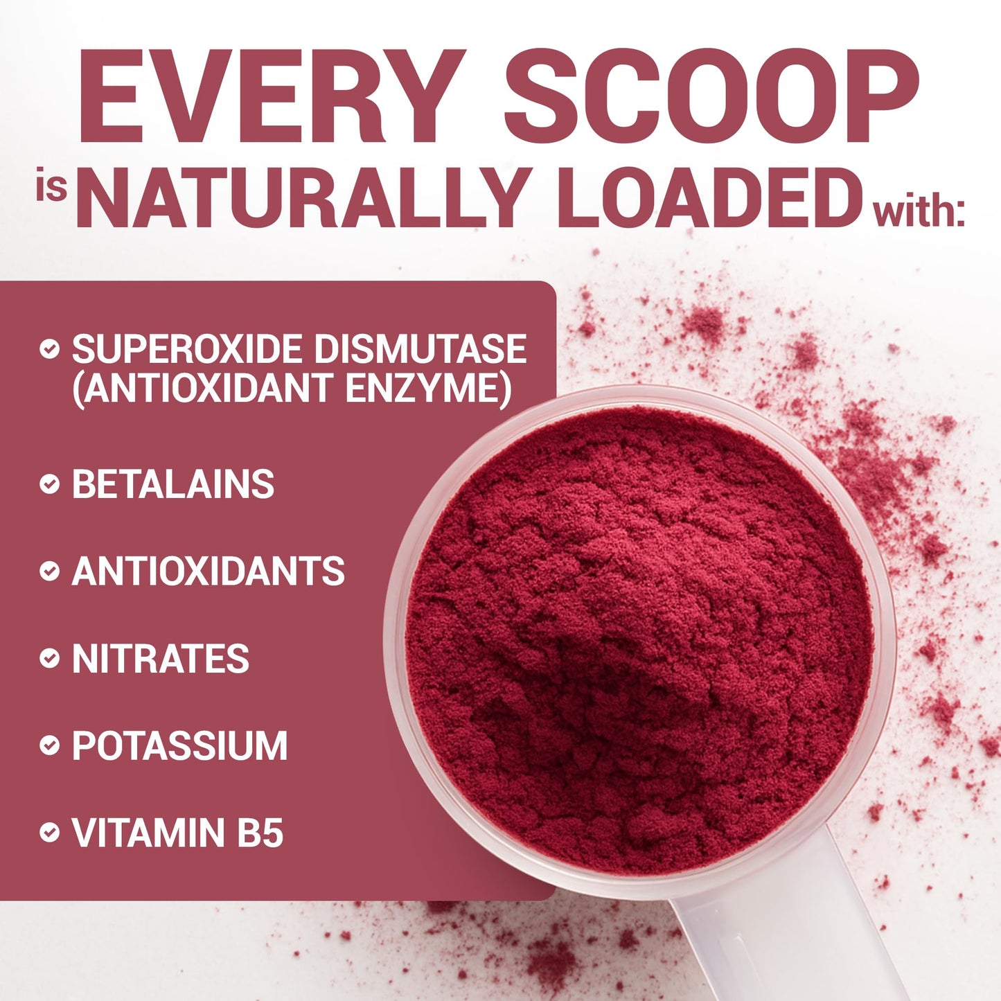 Dr. Berg Raw Organic Beet Powder from Real Earth-Grown Beets – USDA Certified Organic Beet Root Powder to Support Nitric Oxide Levels, Energy