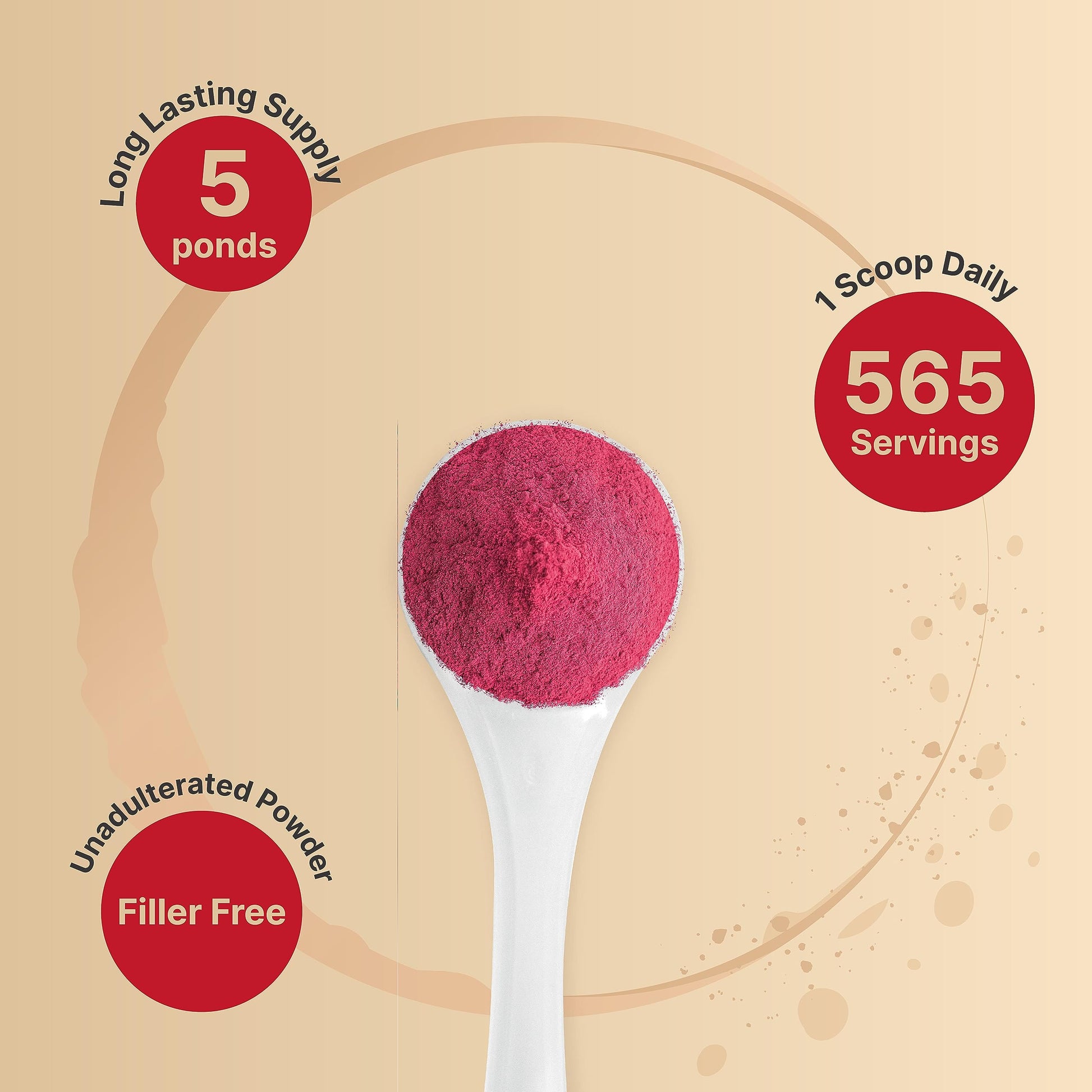 Organic Beet Root Powder 5Lbs | 4,000mg Per Serving – Concentrated Whole Beet Root NatureBellBuy Supplements Australia