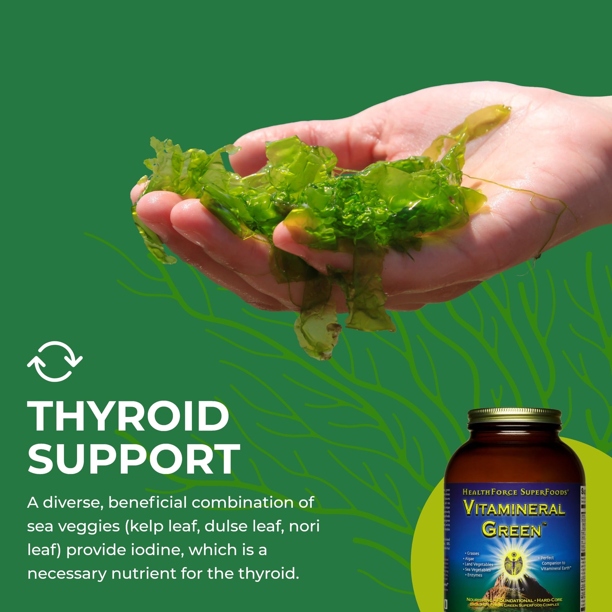 HEALTHFORCE SUPERFOODS Vitamineral Green - Mineral Supplement for Immune & Thyroid Support - Green Powder Supplement with Ingredients from The Land - Gluten-Free & Vegan - 500 Grams HEALTHFORCE SUPERFOODSBuy Supplements Australia