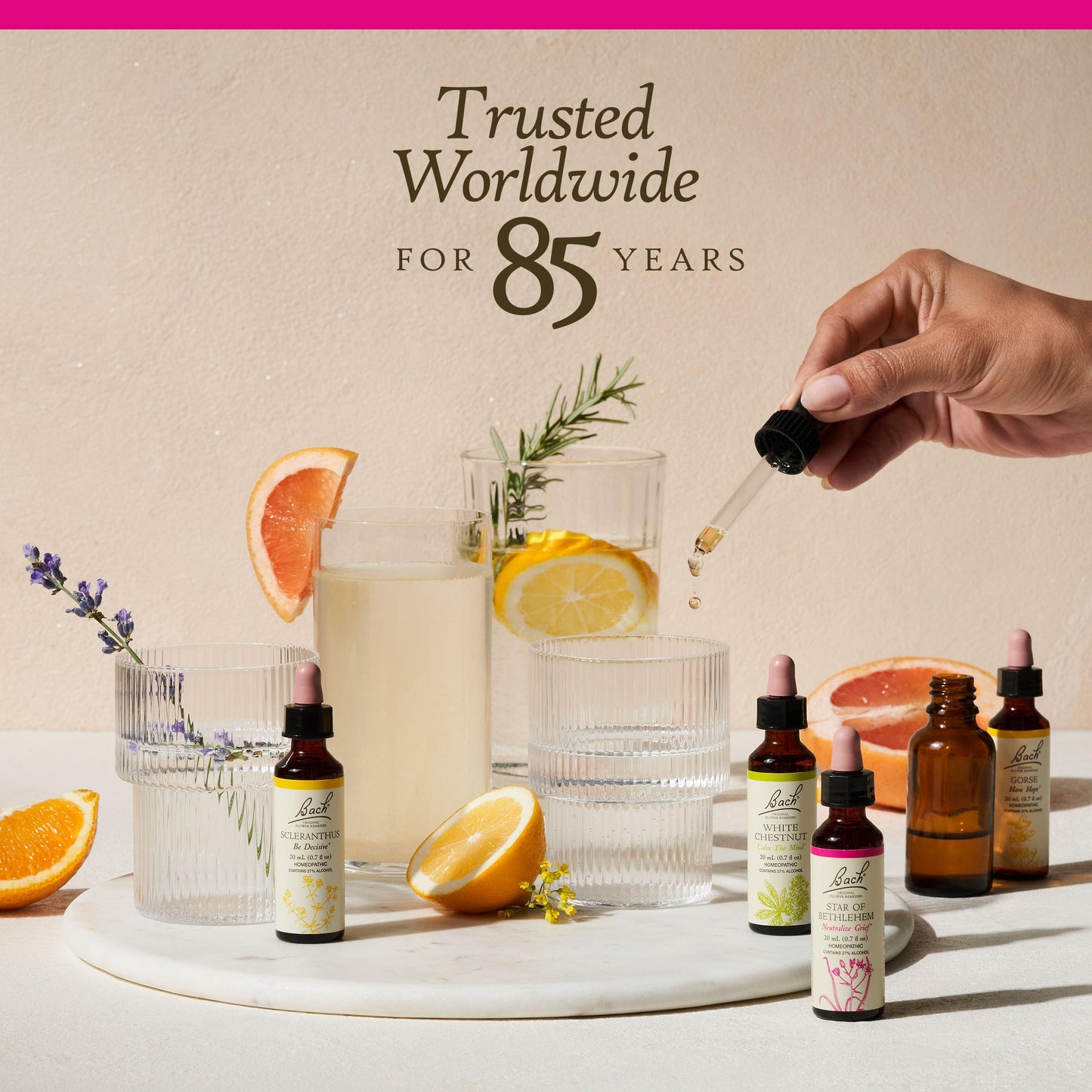Bach Original Flower Remedies, Pine for Self Respect, Natural Homeopathic Flower Essence BachBuy Supplements Australia