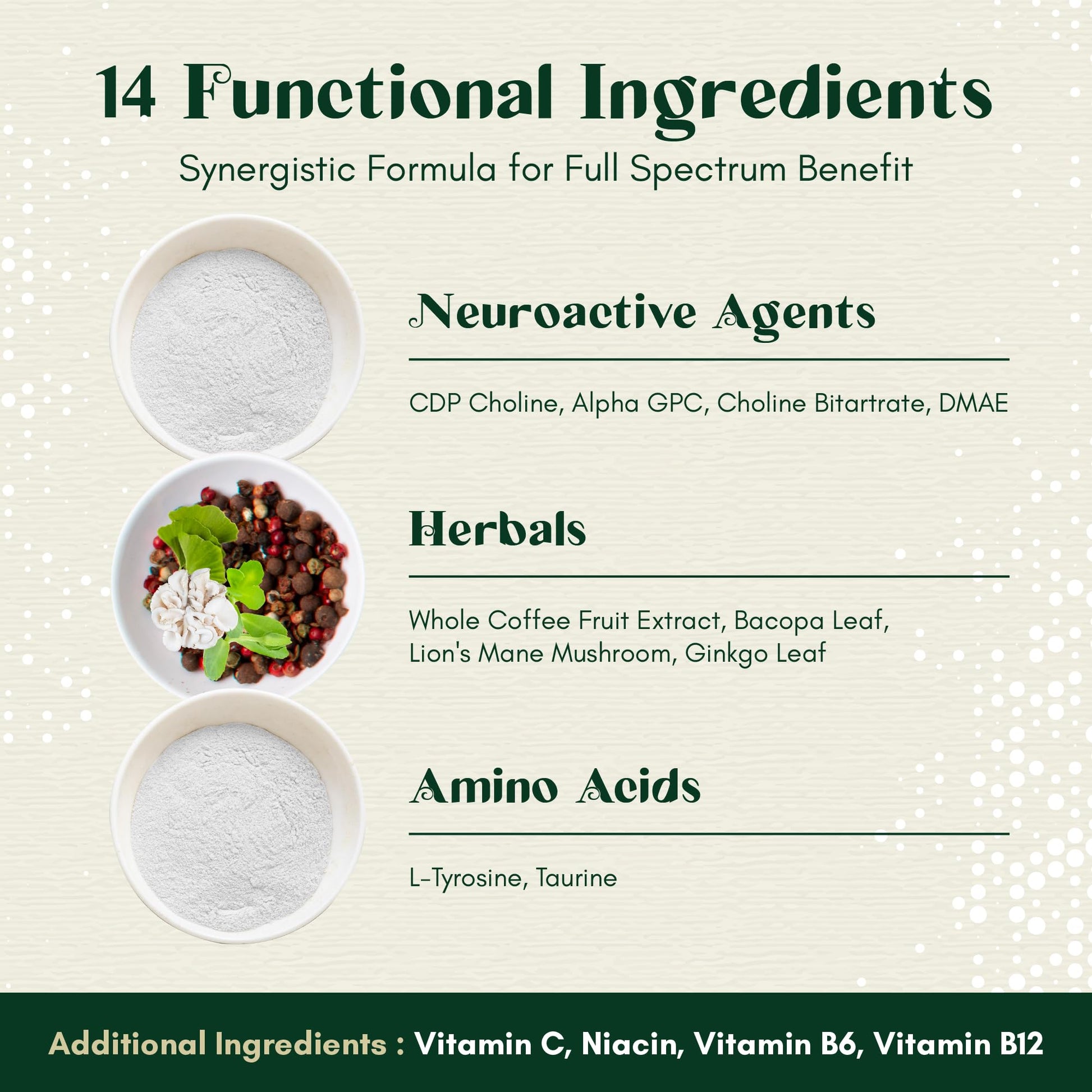 Rootful Mind Alpha Focus Nootropic - Memory and Focus Brain Booster Supplement with Choline, Citicoline, GPC, L-Tyrosine, Bacopa Monnieri, DMAE, Gingko Biloba, Lion's Mane, Niacinamide - 60 Capsules Rootful MindBuy Supplements Australia