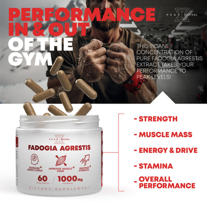 Peak Revival-X Fadogia Agrestis 1000mg Per Serving Supplement - Potent Extract to Increase Energy, Athletic Performance & Muscle Mass - Supplements, Made in The USA (60 Capsules) Peak Revival-XBuy Supplements Australia