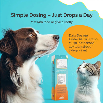 PureCat Urinary Tract Infection Care for Cat & Dog | Calming Urinary Tract & Kidney Support for Pets | Bladder Infection Treatment | UTI Drops | Veterinarian Recommended PureCatBuy Supplements Australia