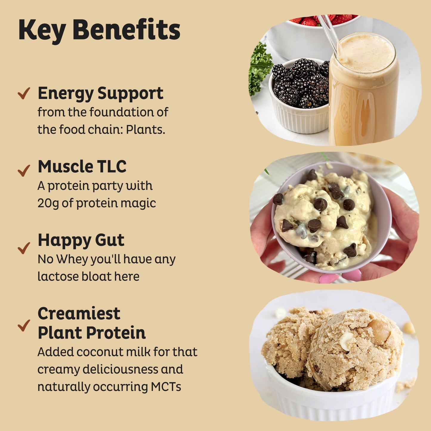 KOS Vegan Protein Powder Erythritol Free, Vanilla USDA Organic - Pea Protein Blend, Plant Based Superfood Rich in Vitamins & Minerals - Keto, Dairy Free - Meal Replacement for Women & Men, 28 Servings