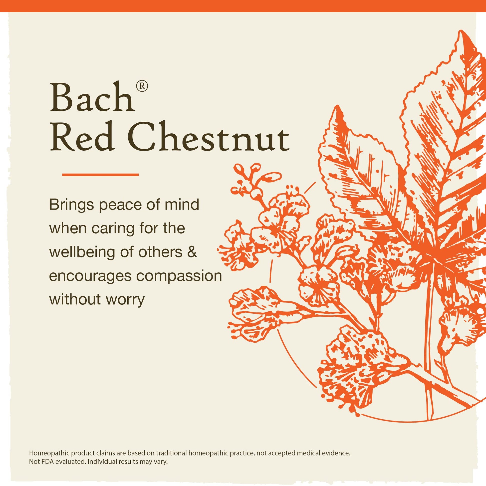 Bach Original Flower Remedies, Red Chestnut for Peace of Mind (Non-Alcohol Formula) BachBuy Supplements Australia