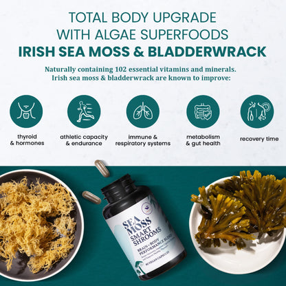 HAPPY FOX Irish Sea Moss Capsules & Mushroom Complex - Organic Seamoss with Adaptogens for Brain Health, 1500mg, 90 Vegan Capsules, Organic Mushroom Supplement HAPPY FOXBuy Supplements Australia