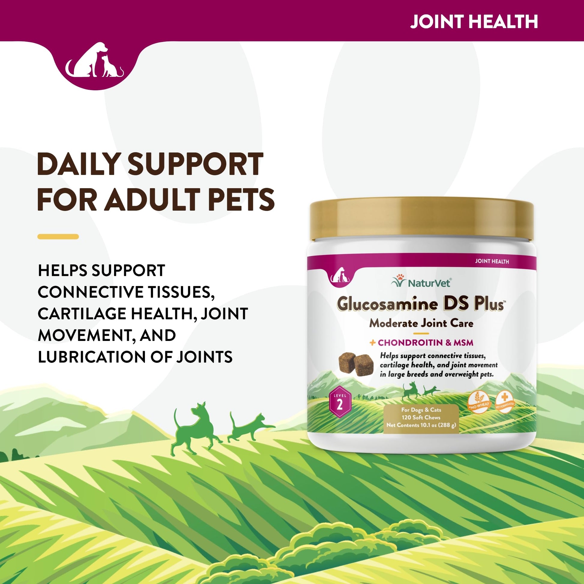 NaturVet – Glucosamine DS Plus - Level 2 Moderate Care – Supports Healthy Hip & Joint Function – Enhanced with Glucosamine, MSM & Chondroitin – for Dogs & Cats–120 Soft Chews NaturVetBuy Supplements Australia
