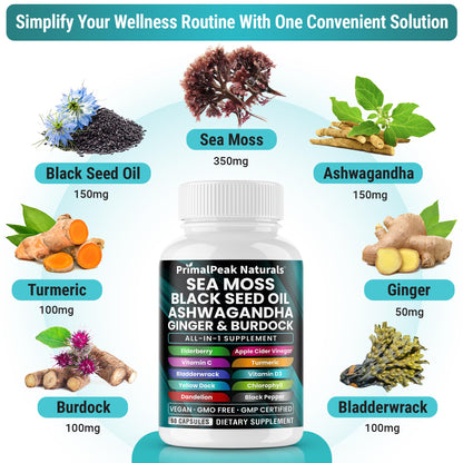 PrimalPeak Naturals Sea Moss Black Seed Oil Ashwagandha Ginger Burdock Bladderwrack Turmeric & Vitamin C Vitamin D3 with ACV Elderberry Chlorophyll Dandelion Yellow Dock Vegan Capsules - 60 Count PrimalPeak NaturalsBuy Supplements Australia