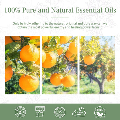 PHATOIL Sweet Orange Essential Oil 100ML, Pure Premium Grade Sweet Orange Essential PHATOILBuy Supplements Australia