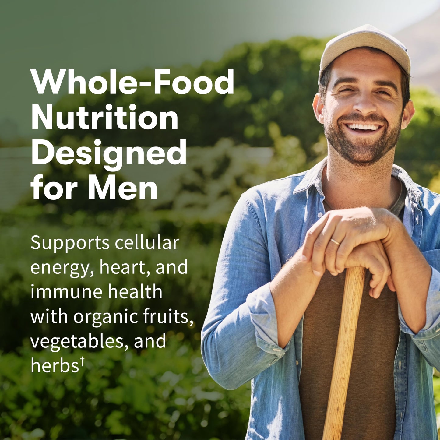 Garden of Life Once Daily Whole Food Multivitamin for Men, Organic Mens Vitamins & Minerals, Vitamin C, Zinc, Vegan, for Health & Well-Being, 60 Tablets Garden of LifeBuy Supplements Australia