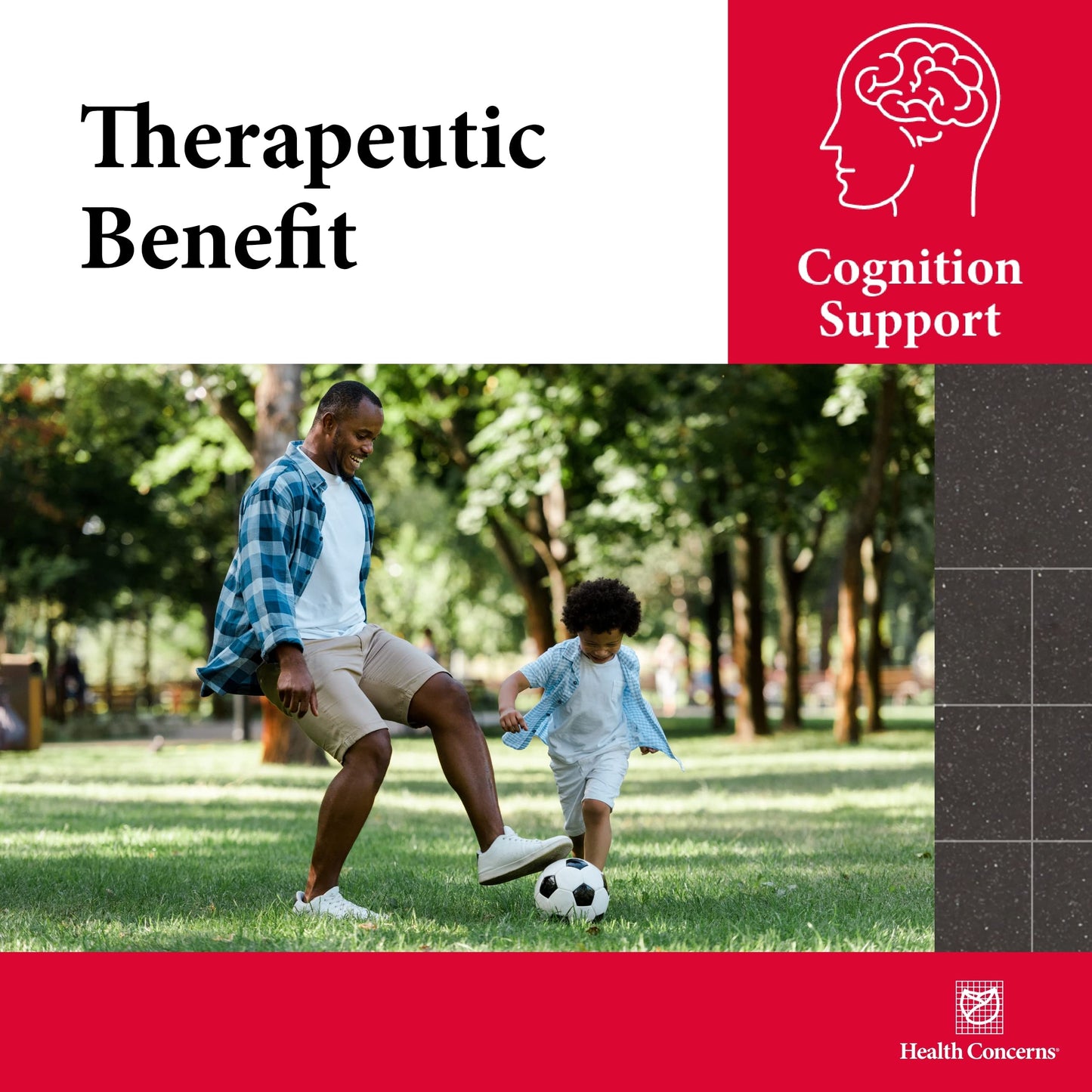 Health Concerns Cogni-Spark – Brain Support for Memory, Focus, and Mental Clarity – Alpha-GPC Choline Supplement for Cognition, Nerve Function & Longevity
