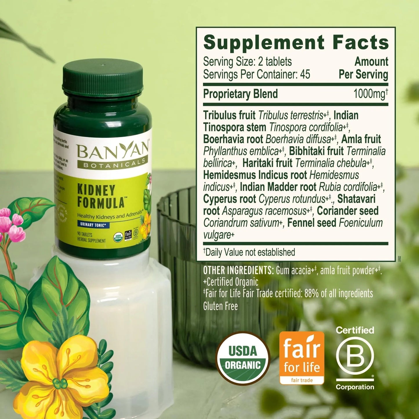 Banyan Botanicals Organic Kidney Formula–Urinary Tract Support & Detox Supplement–Gokshura & Punarnava for Fluid Balance & Systemic Cleansing–Cooling Genitourinary Tonic-90 Tablets-USDA Organic Banyan BotanicalsBuy Supplements Australia