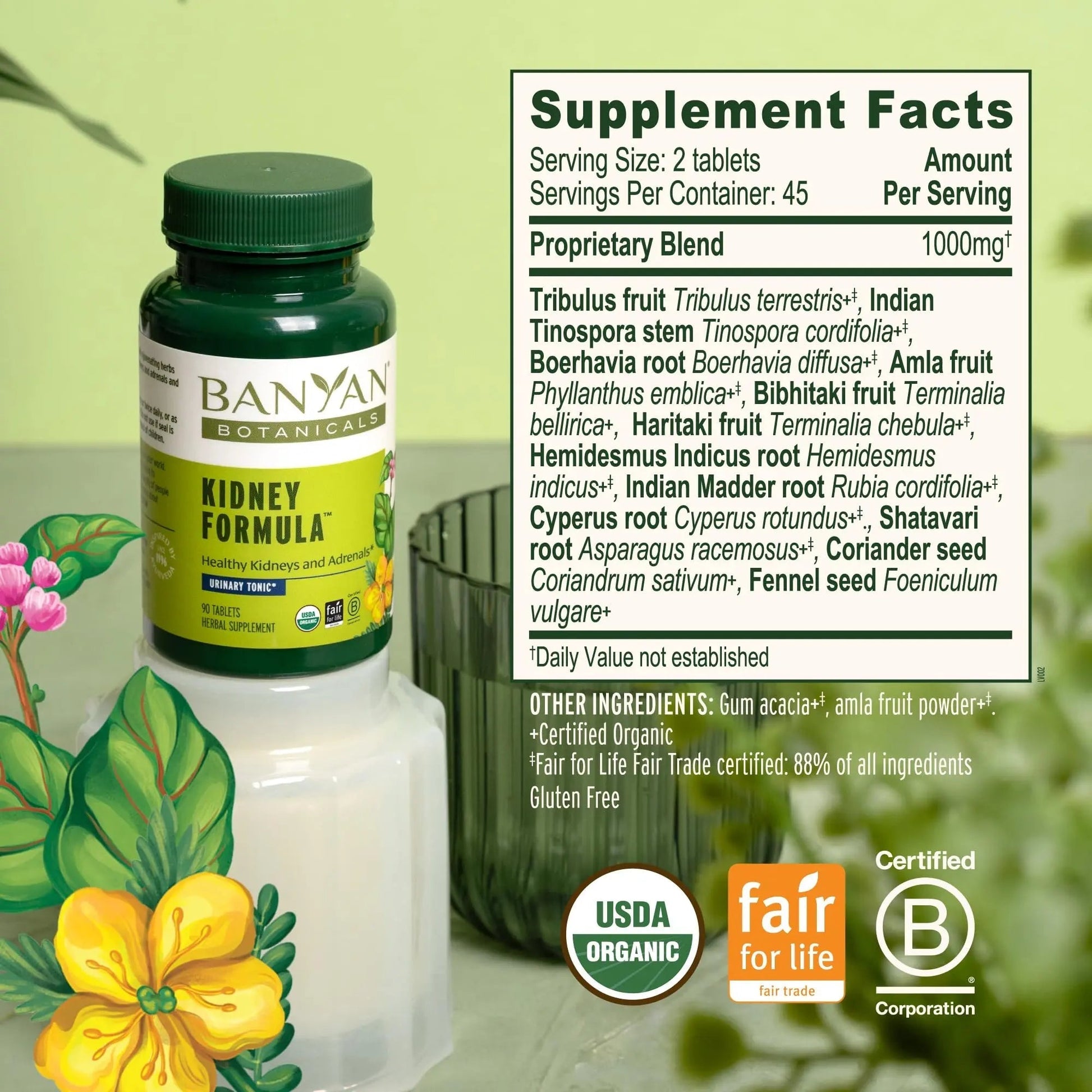 Banyan Botanicals Organic Kidney Formula–Urinary Tract Support & Detox Supplement–Gokshura & Punarnava for Fluid Balance & Systemic Cleansing–Cooling Genitourinary Tonic-90 Tablets-USDA Organic Banyan BotanicalsBuy Supplements Australia