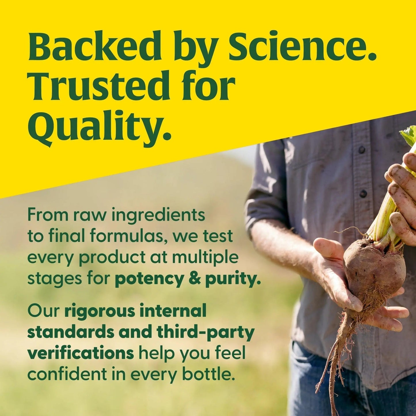 MegaFood Kids One Daily Multivitamin Soft Chews - Kids Vitamins with Vitamin B, Vitamin C, Vitamin D & Vitamin E - Age 4+, Vegetarian MegaFoodBuy Supplements Australia